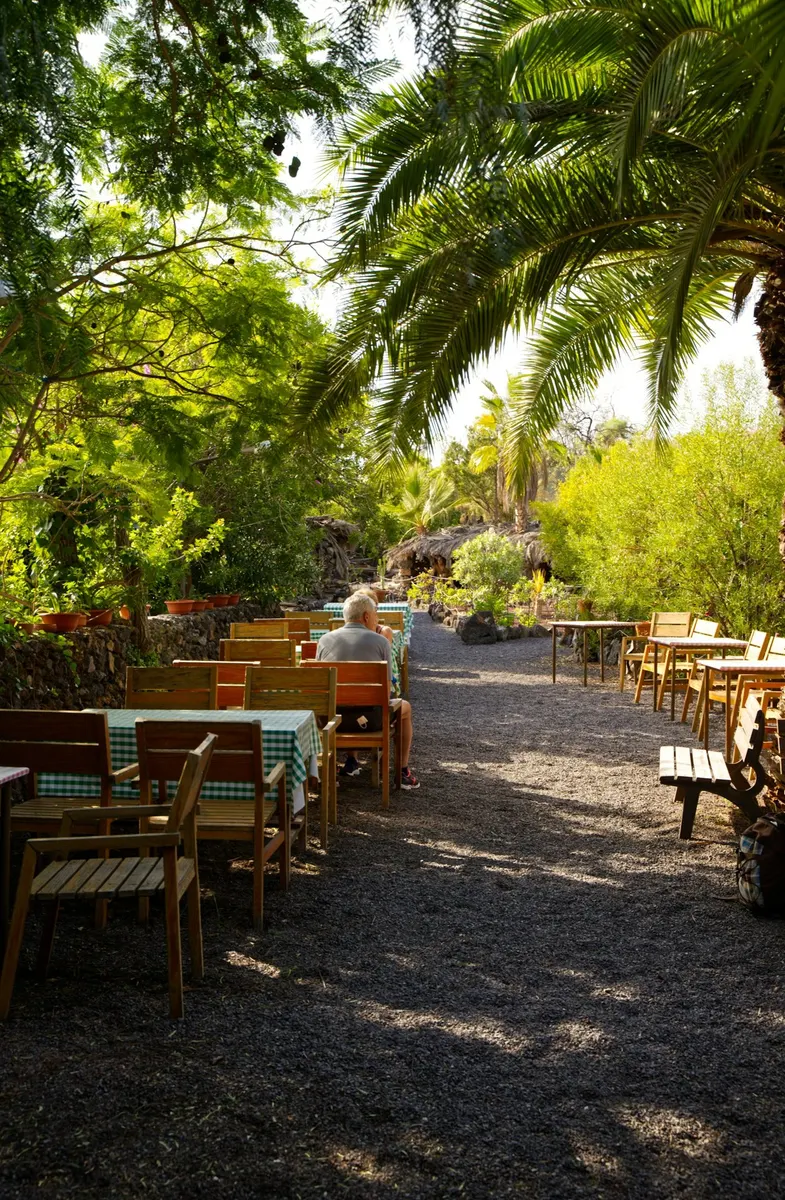 Pad tussen palmen en groen in Jungle Park in Arona